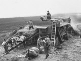 Workers Harvesting Barley Crop on Collective Farm