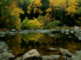 An Autumn View of Calf Pasture River