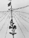 Travancore Cochin Elections  with Communist Workers Fixing Loudspeaker on a Stripped Coconut Tree