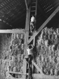 Two Boys Playing in a Barn