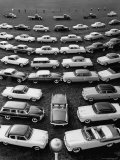 over Head View of Several Rows of New Packard Cars