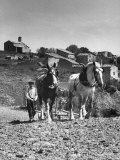 Provincial Farmer Albert Matthieu Working in Revest