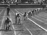 Penn Relay Races  College Students Crouched in Starting Position