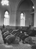 Moslems at Prayer