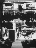 Young Man Standing in Front of a Herbs and Fish Market Displaying Racks of Fish
