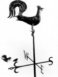 Weathercock Vane on the Market House in the Town Hall