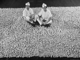 Two Bakers Sitting in a Pile of Chinese Fortune Cookies