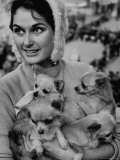 Woman Holding Four Long Haired Chihuahuas  During Cruft's Dog Show