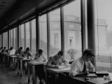 Students Studying at a Library at Harvard University