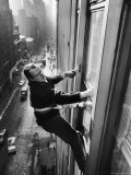 Window Cleaners Cleaning Windows on a Madison Avenue Office Building