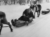 Woman on Sled Pulled by Reindeer Heading to Lapp Market