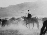 Pony Herder Guiding the Ponies Through the Fields