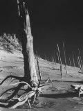 View of the Indiana Dunes