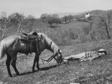 Secretary of Agriculture Ezra Taft Benson Vacationing with Pet Palomino