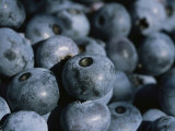 A Close View of Fresh-Picked Blueberries