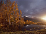 Autumn Landscape Near Telluride  Colorado