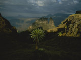 A View of the Ethiopian Highland Habitat of the Gelada