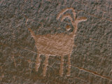 Anasazi Petroglyph