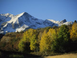 Autumnal View of Aspen Trees and the Rocky Mountains
