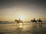 Horseback Riders Silhouetted on a Beach at Twilight  Costa Rica