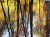 Missisquoi National Wildlife Refuge  Swanton  Vermont