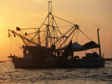 A Shrimp Boat Silhouetted against an Orange Sky
