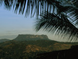 Palm Fronds Frame a Distant Flat-Topped Mountain in Cuba