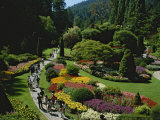People Strolling Among Flowers of the Sunken Garden  Butchart Gardens