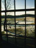 View Looking out Through a Window at a Horseback Rider