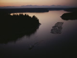 A Log Boom is Towed Through a Washington Waterway