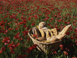 Basket of Bread in a Poppy Field in Provence