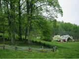Trees Grow on a Hillside in Front of an Old House