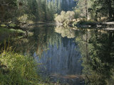 Autumn View Along the Merced River