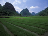 Yangdi Valley Farm Fields  Guilin  Guangxi  China