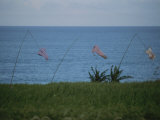 Laundry Hangs out to Dry on a Windy Coast