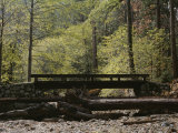 Footbridge over a Dry Stream in Yosemite