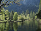 Spring View of the Merced River