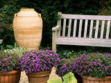 Potted Plants and a Garden Bench in the Chicago Botanic Garden