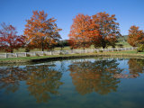 Trees in Fall Foliage Reflected in a Virginia Pond