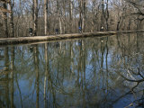 The C and O Canal Reflects Bikers Moving Along the Trail
