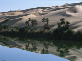 The Photographer Discovers an Oasis in the Middle of the Sahara Desert