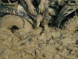 Motocross Race at Saint Joe State Park