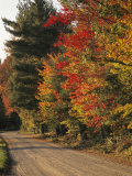 Fall Colors Line a New England Road