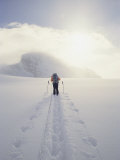 A Hiker Leaves a Pattern in the Snow