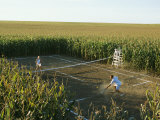 A Game of Tennis on a Court Carved from a Cornfield