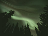 Brilliant Display of Aurorae