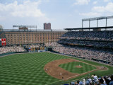 Baseball Game at Orioles Park