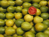 Display of Guavas in an Open Air Market on Copacobana Beach