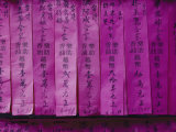 Close View of Offerings Made at a Buddhist Temple