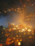 Grinning Lit Jack-O-Lanterns Surrounding and Filling a Tree